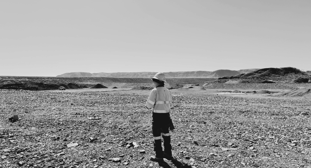 Mining Drone Seeding and Weeding